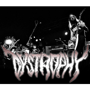 Enlarged view of image