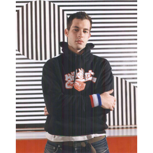 Enlarged view of image