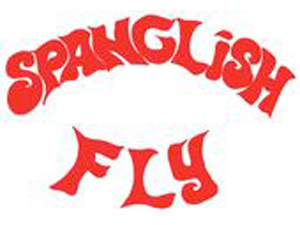 Enlarged view of image