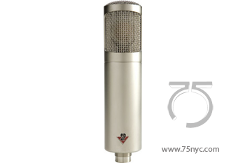 Enlarged view of image