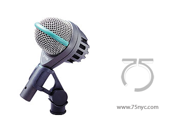 Enlarged view of image