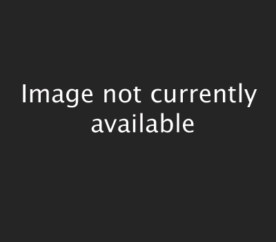 Enlarged view of image